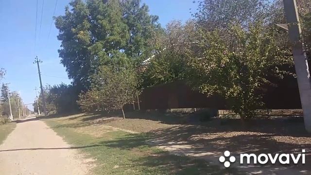 А то буду валяться в блестящей кохте🤦♀️ смотреть онлайн