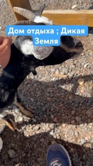 Дом отдыха :Дикая земля #квадроцыклы #баня #природа #ба?