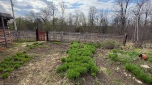 Участок с Домом в Красном ключе