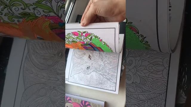 МОИ ПЛАНЫ НА МЕСЯЦ ОКТЯБРЬ 2019//В РАСКРАСКАХ АНТИСТРЕСС