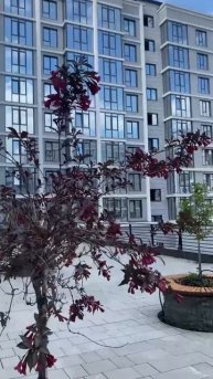 Терраса во дворе жилого комплекса.
