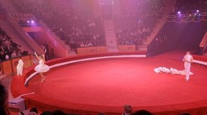 Цирк Лучшее | Дрессированные собачки | Лучшие цирковые номера сезона | Анастасия Новичкова #circus