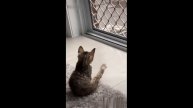 За кнопку В ТОП и ЛАЙК +50000 к карме))))