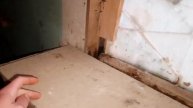 Курочки, поилка для кур и другие нароботки....