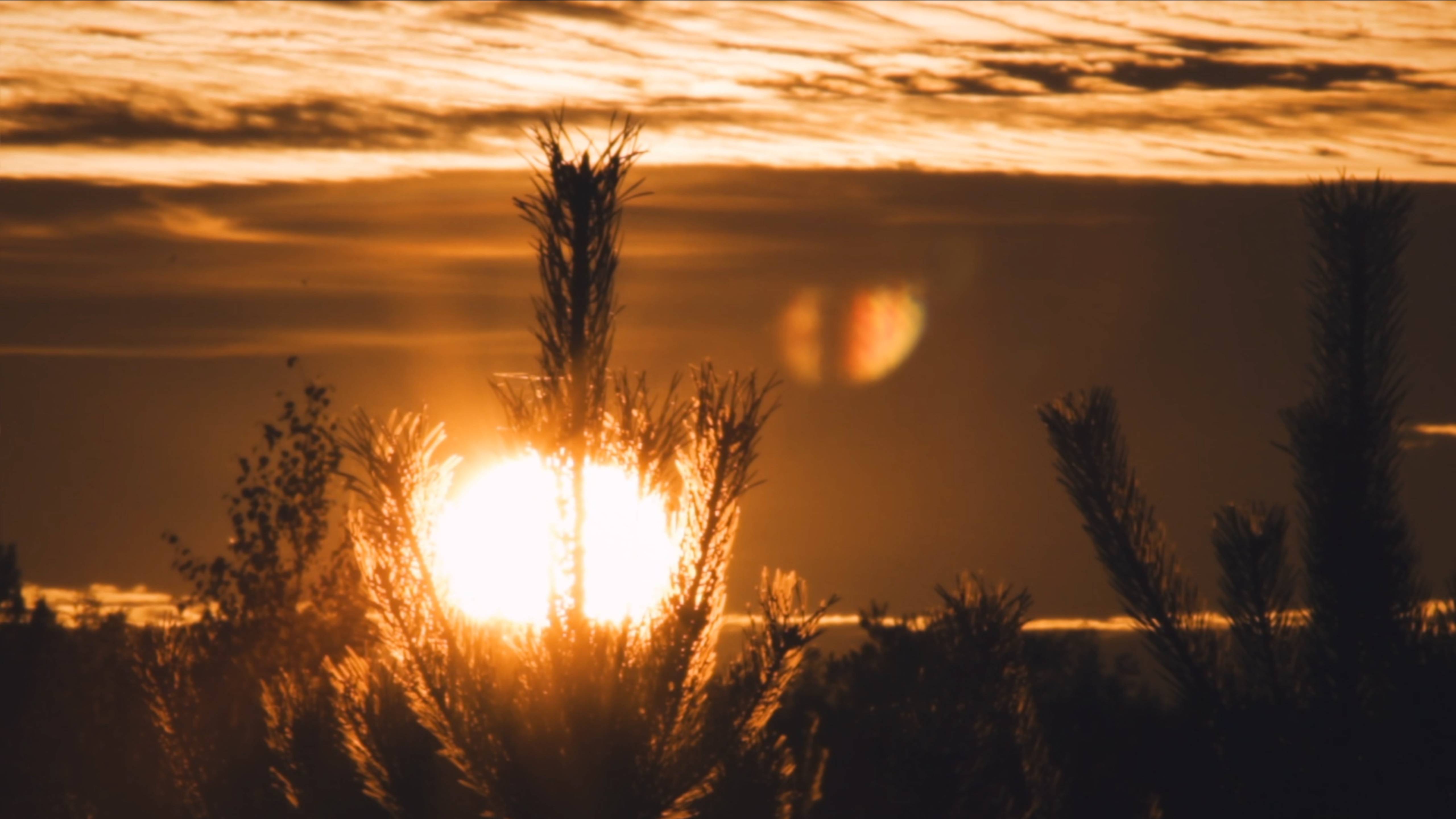 ambient sunset смотреть онлайн