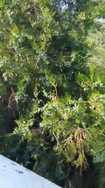 лунный календарь 12.02.23 #астрология #астропрогнознакаж? смотреть онлайн