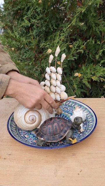 Самоделка приспособление фонтан для сада своими рука? смотреть онлайн