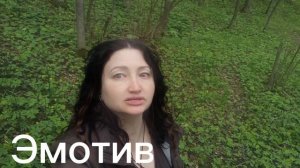 Эмотив. Кто это такой? И с чем его едят?