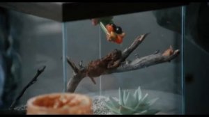 Жуткий Фильм ужасов "Подвал"