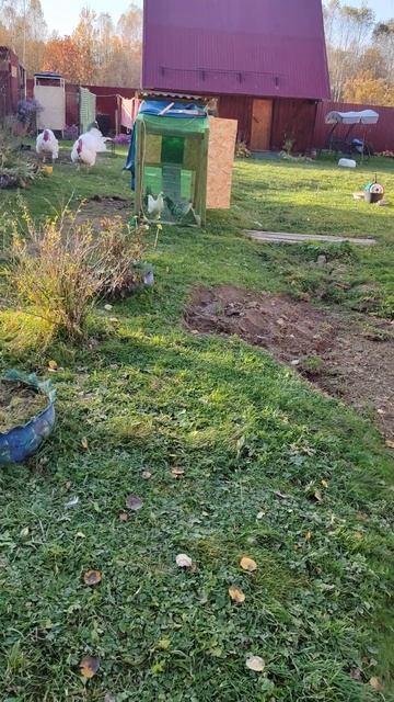 Планы на следующий год. смотреть онлайн