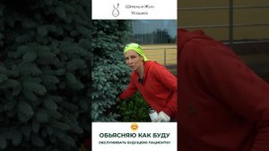 Обрезка ели колючей голубой