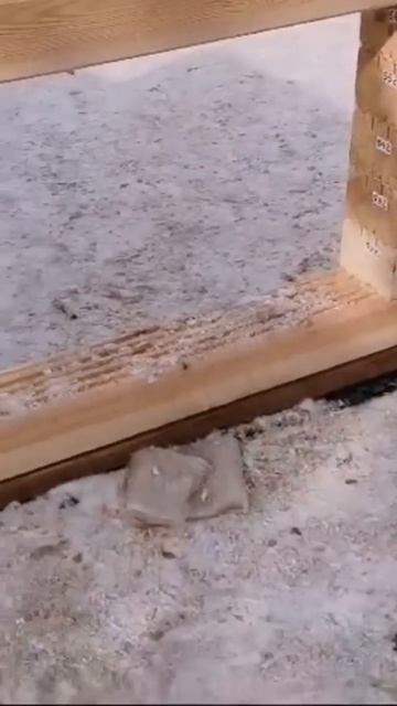 Из чего сделать подкладочный венец в доме из бруса? #ст
