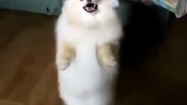 20 декабря 2018 г. смотреть онлайн