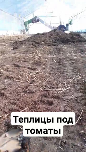Обработка теплицы дымовыми шашками #землядел #subscribe