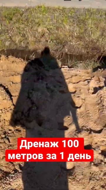 Правильный дренаж на участке #дренаж #дача #дачныйвлог смотреть онлайн