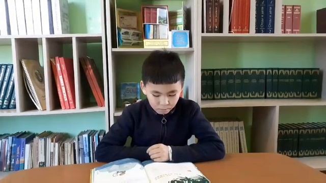Болотов Булат, ученик 4 класса, с. Ага-Хангил, Могойтуйский район смотреть онлайн