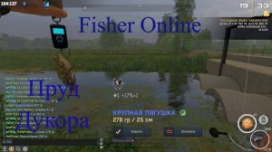 Fisher Online Дукора лягушка