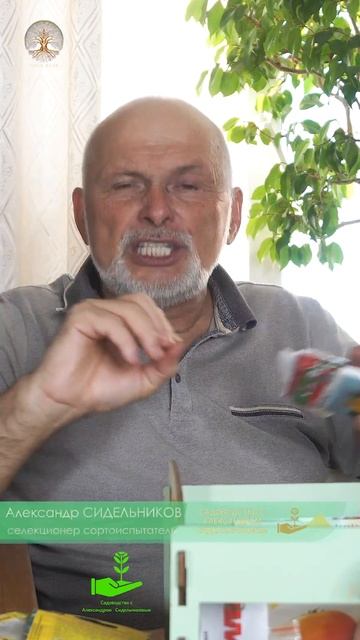 НЕОБХОДИМОСТЬ ОБРАБОТКИ СЕМЯН перед посевом #shorts #сад? смотреть онлайн