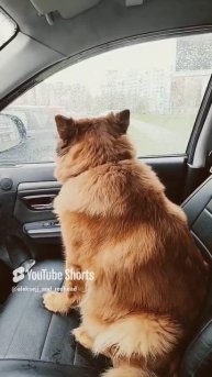 красотка Рита