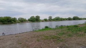 Отдых на природе! Река! Природа!