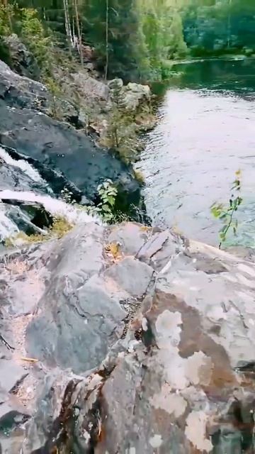 Водопад Кивач смотреть онлайн