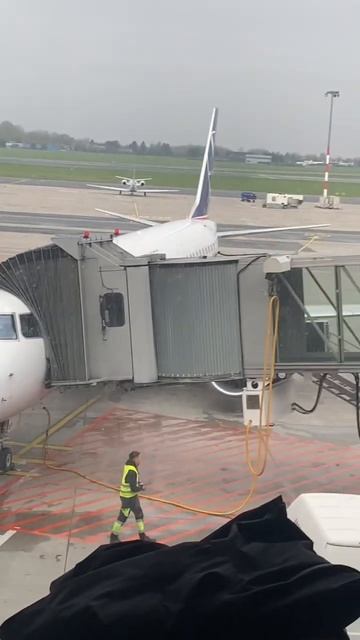 Летим отдыхать) начало путешествий🏝️🏝️🏝️#самоле? смотреть онлайн