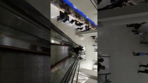 Пересадка в Гонконге.