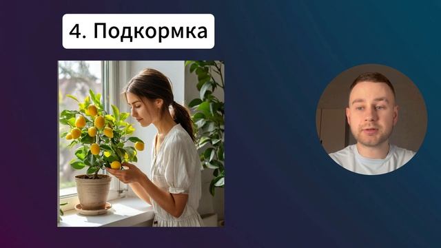 Как Ухаживать за Лимонным Деревом Дома / Уход за Лимон?