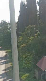 ОБЛАКА НА ГОРАХ