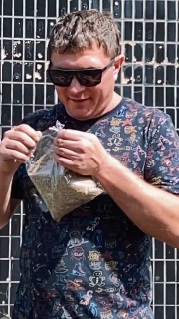 Срочный посев газона. Всё правильно делаем? смотреть онлайн