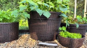 Идеи для красивой и уютной дачи как в Pinterest своими рука