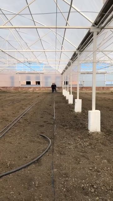 Капельный полив #томатныйсок #производство #аджика #фа смотреть онлайн