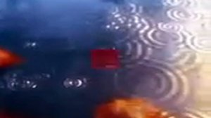 Заночую в стогу