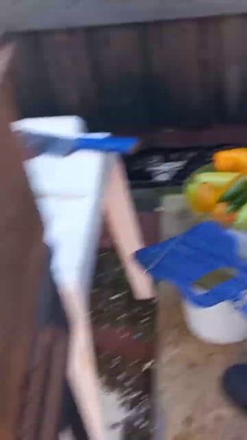 овощи на мангале. см полный текст от 31.08.22 праздник жив?