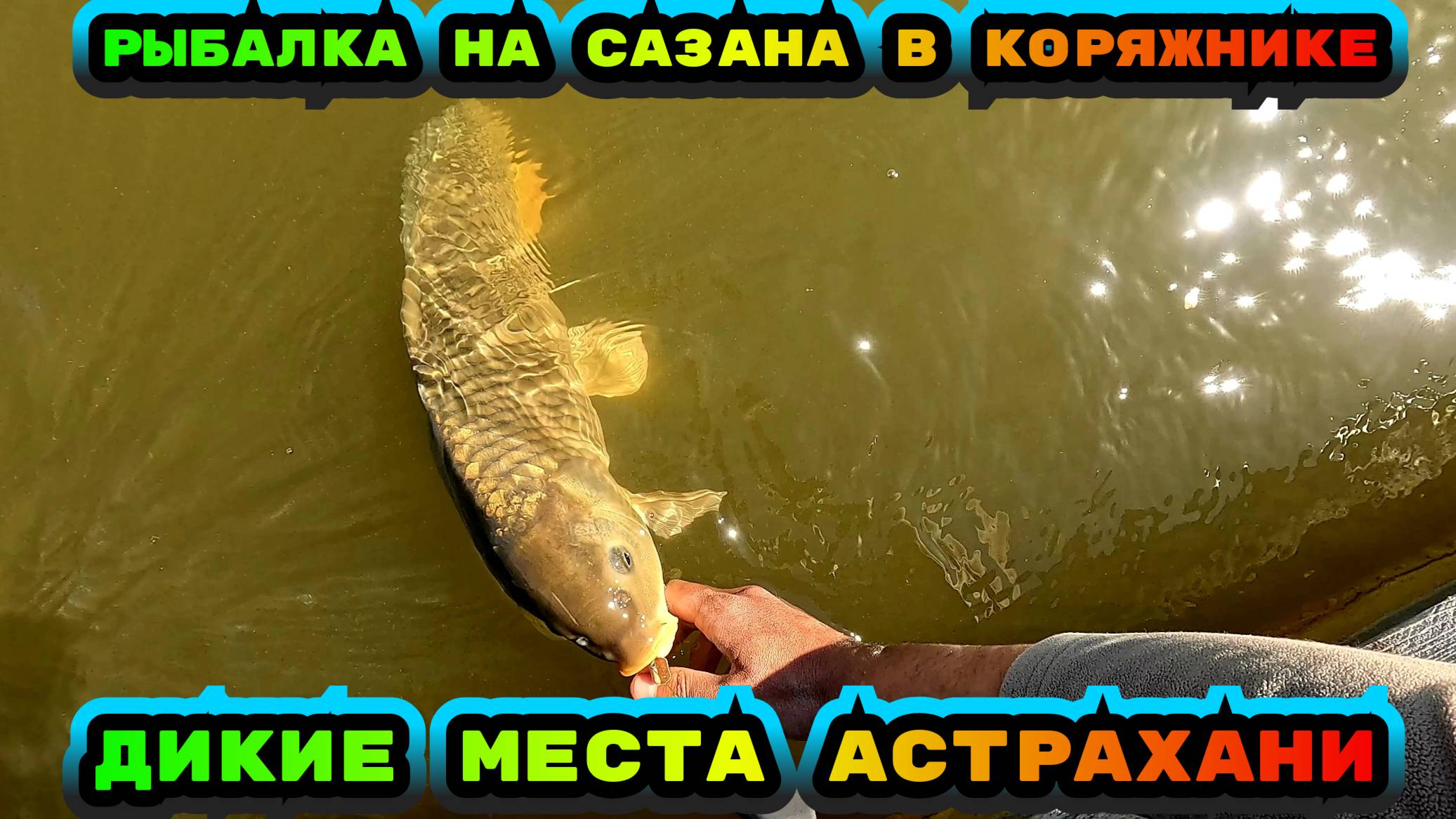 Весенний астраханский САЗАН. Эхолот не заменимая вещь в 2025 году