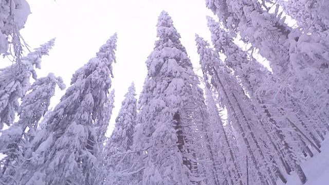 Поход на Новый Год с.Мысливка - г. Яйко Илемское - с. Осмолода