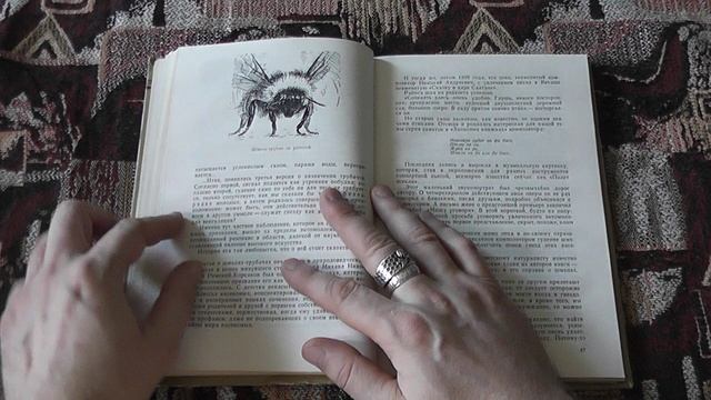 "Трубачи играют сбор" (И.Халифман, 1971)