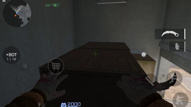 SVID_20250506_171536_1.mp4