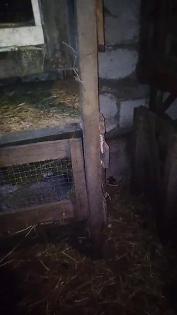 Дальний сарай часть 1.