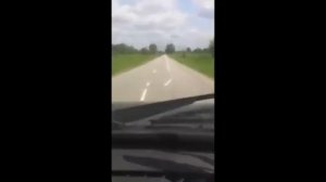 Пьяная дорожная разметка ржач до слез