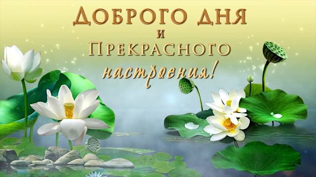 🎶💗Доброго дня и прекрасного настроения! 🎶💗Самое красивое оригинальное пожелание!