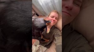 Топим дом дровами #дрова #печь #печьсвоимируками #жизн?