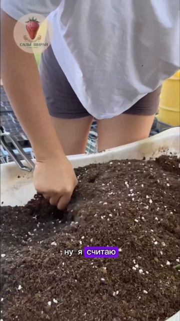 Секрет хорошей рассады-почва #огород #дача #farming #сад #gar смотреть онлайн