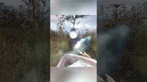 Кодовый тайник на локации Лесной #stalker2 #сталкер2 #stalker #?
