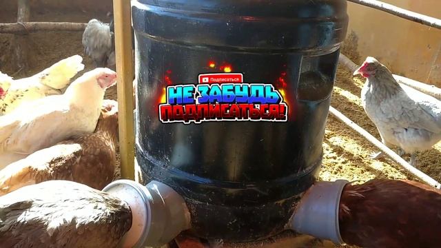 Обзор курятника и ошибки при постройке.