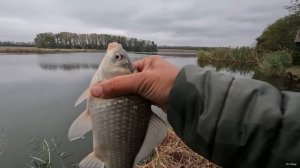 Рыбалка на донку осенью на карпа и карася
