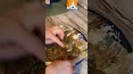 Готовим креветки в аэрогриле. Не сложно😊 Попробуй.