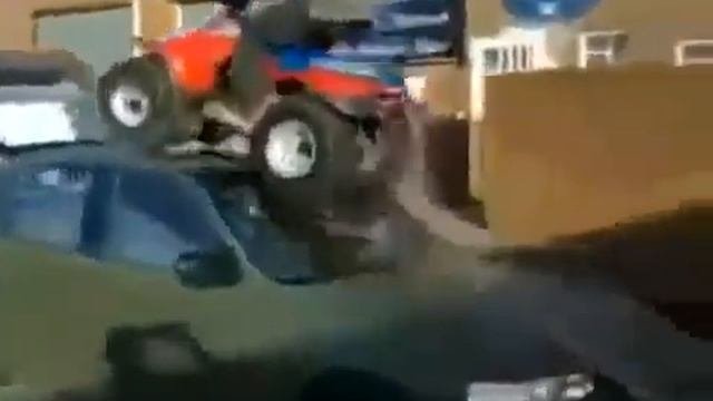 Прикол Квадропсих Юмор! Прикол! Смех