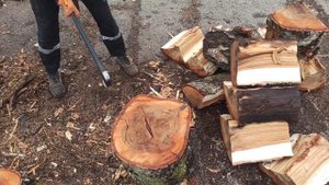Колка березовых дров. Топор колун Fiskars x25. #fiskars #firewood #vill