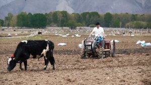 བོད་གཞས་གསར་པ་༢༠༢༥༼རོང་འབྲོག་བུ་ཆུང།༽གཞས་པ། ལྷག་བསམ་རྒྱལ། ࿉ Tibetan song 2025 Full HD - ཁ་བ་རི་པ་ ༡༣